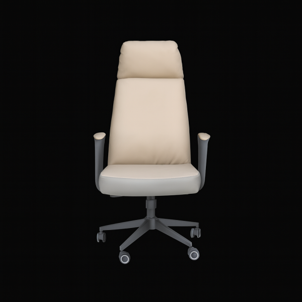 BOSS & Leather Chair - SK17